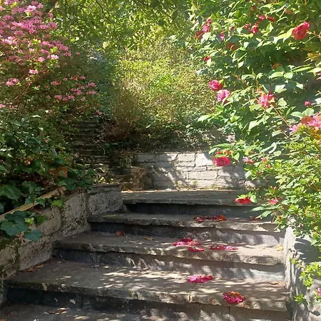 In With Maggiore Views *